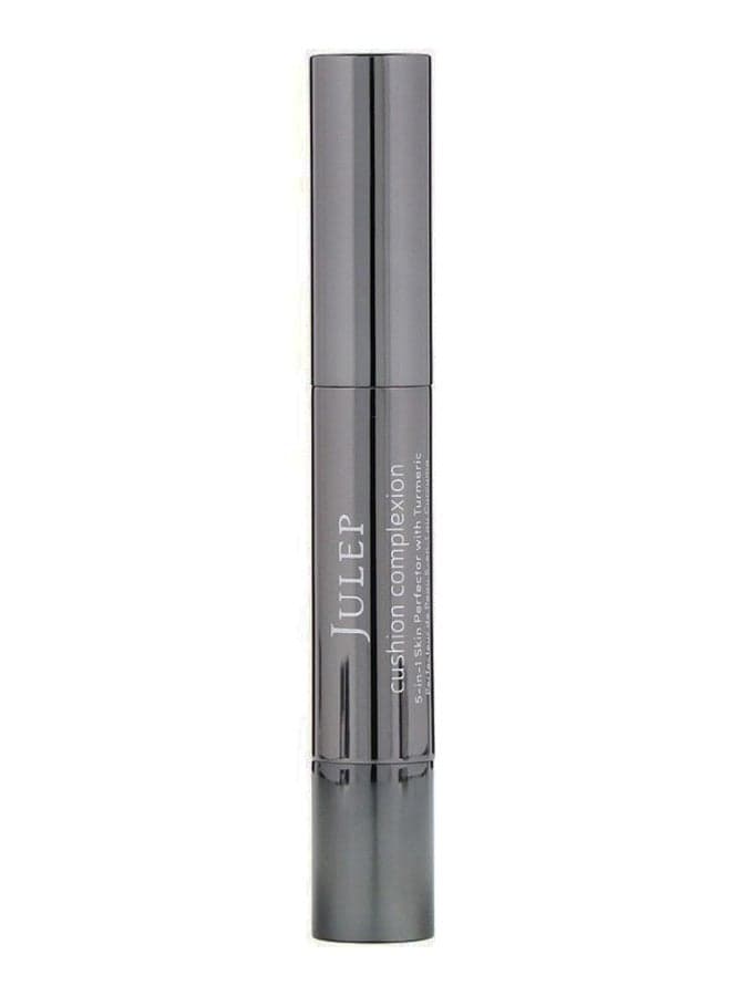 Cushion Complexion 5-In-1 Skin Perfector Stick Honey