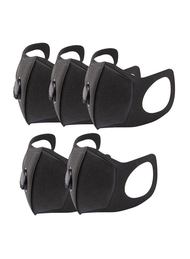 5-Piece High Grade Antifog Mouth Mask 15.5 x 12.5cm