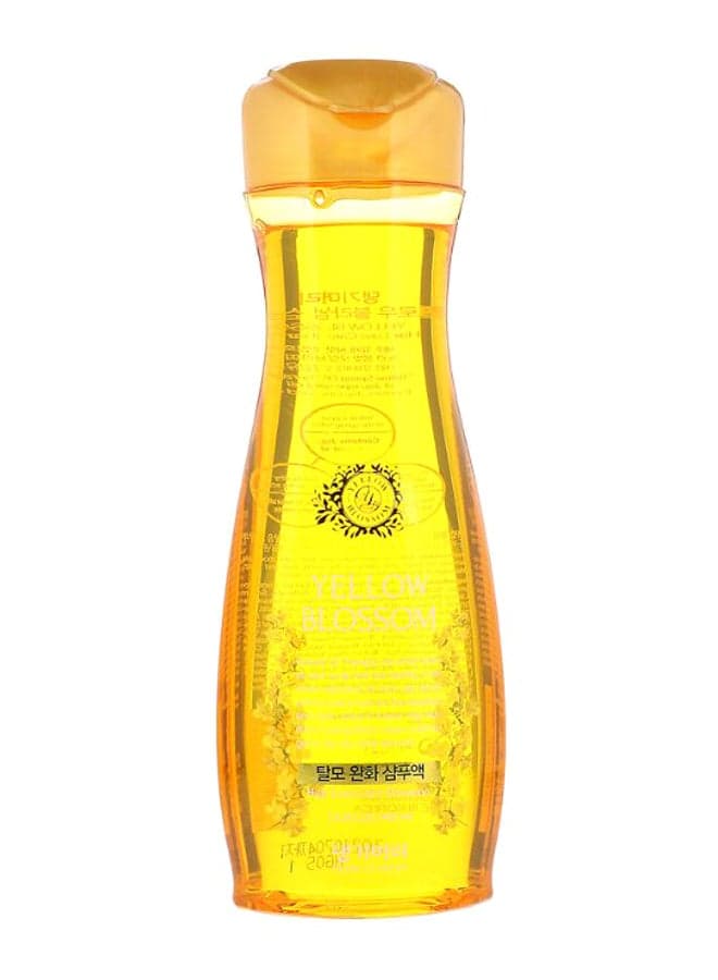 Yellow Blossom Hair Loss Care Shampoo 400ml