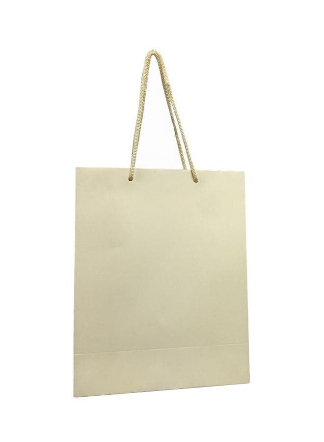 Pack Of 12 Paper Gift Bag With Handle Beige