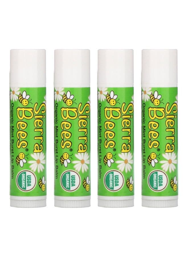 4-Piece  Organic Lip Balm Mint Burst 4.25grams