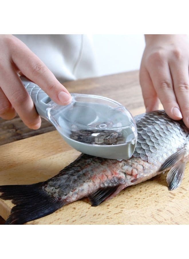 Manually Remove Fish Scales Multicolour