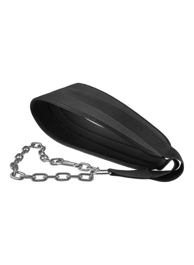 Weight Bearing Gym Belt