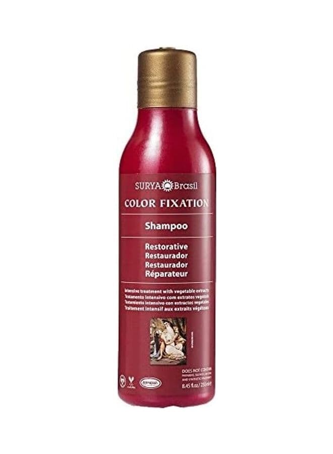 Color Fixation Restorative Shampoo
