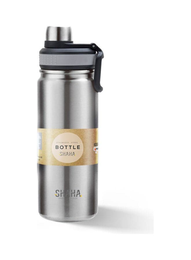 Stainless Steel Vaccum Bottle Silver