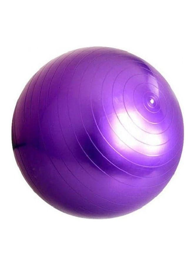 Hot    Exercise Fitness Aerobic Ball For Gym Yoga Pilates Pregnancy Birthing Swiss 65cm