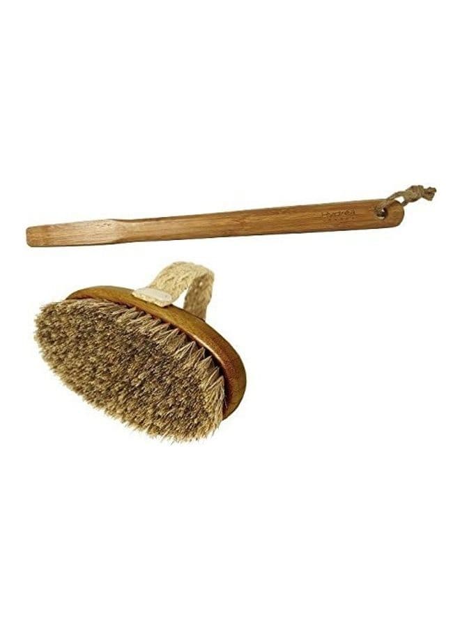 Bamboo Mane and Cactus Bristle Bath Brush with Long Detachable Handle Brown 50grams
