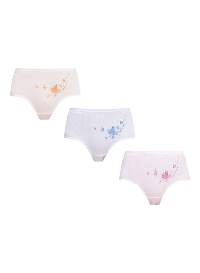 3-Piece Of Cotton Maxi Briefs Multicolour