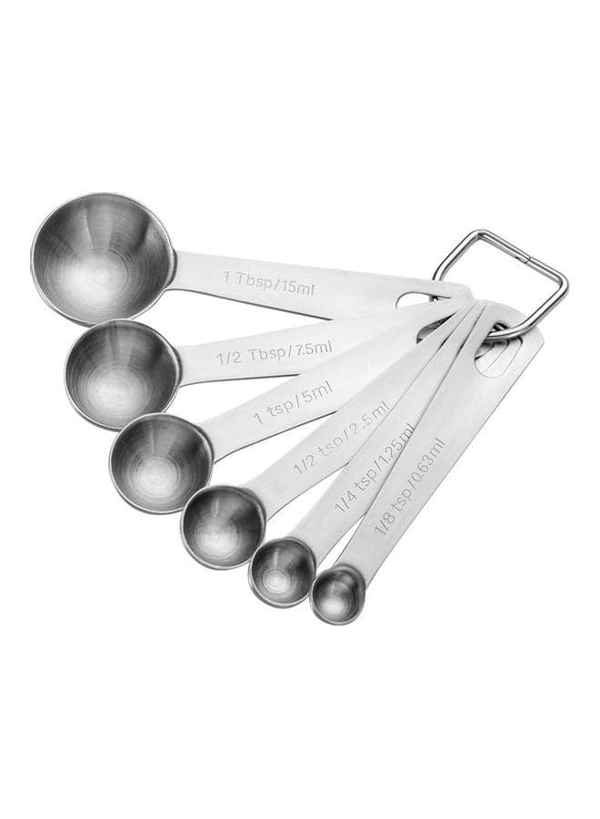 6-Piece Reusable Seasoning Coffee Powder Measuring Scoop Silver
