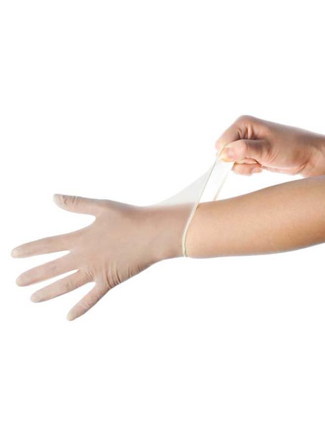 Vinyl Powder Free Gloves