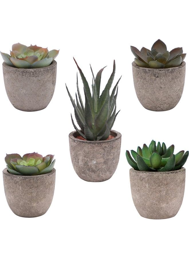 5-Piece Artificial Succulent Plants Set Grey/Green