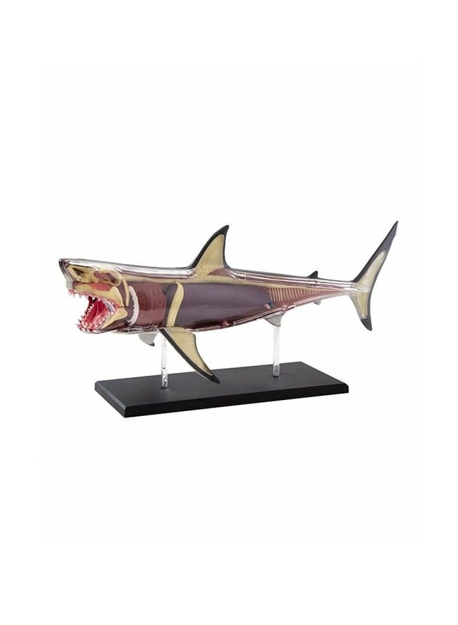 Discovery -Mindblown Anatomy 4D Shark