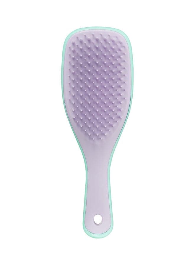 Mini Wet Detangling Hairbrush Mint/Lilac