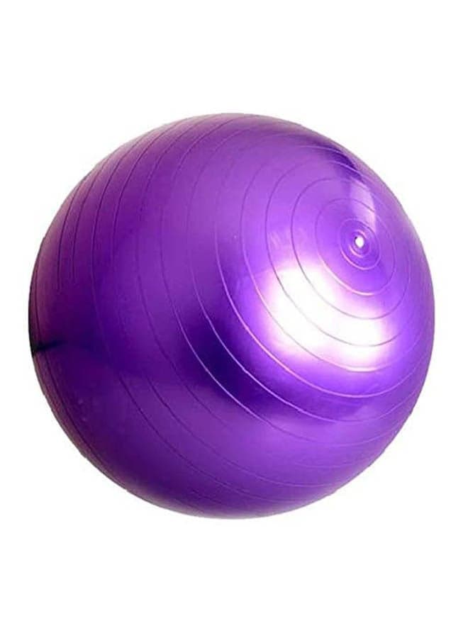 Gym Exercise Swiss Fitness Pregnancy Birthing Injury Sciatica Yoga Ball 65cm