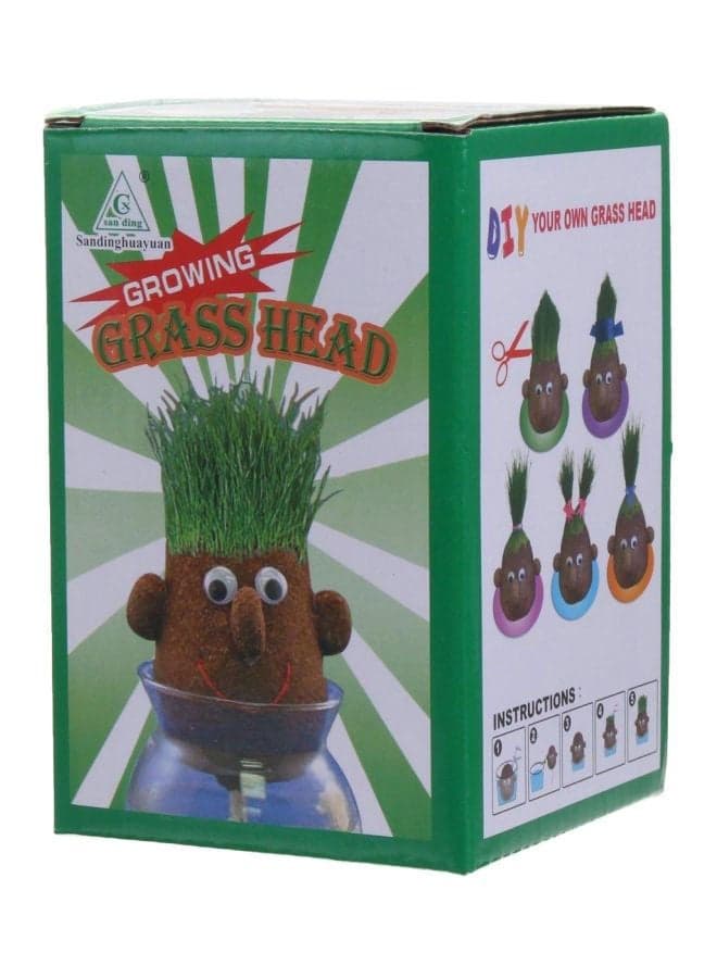 Creative And Educational, Learning Growing Grass Head Craft Indoor For Kids inch
