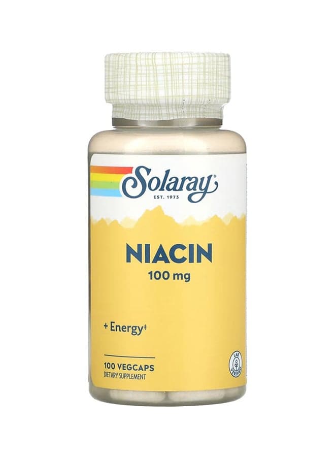 Niacin Dietary Supplement 100 Mg - 100 Capsules