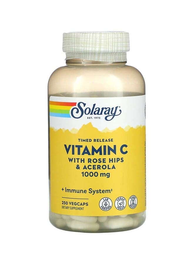 Timed Release Vitamin C - 250 Capsules 1,000 mg