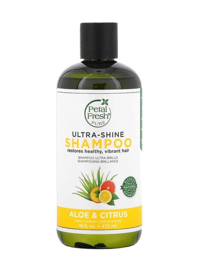 P Aloe & Citrus all Hairs Unisex Shampoo, 500 ml