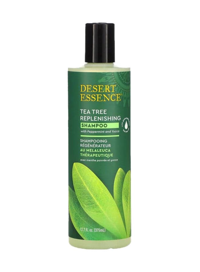 Tea Tree Replenishing Shampoo 382ml