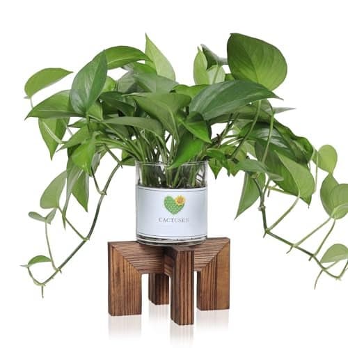 Vigordream Plant Stand, Indoor/Outdoor Wood Plant Holder, Single Flower Pot Stand, Sturdy Planter Stands (Walnut, Fit 2.5-6 inch pots)