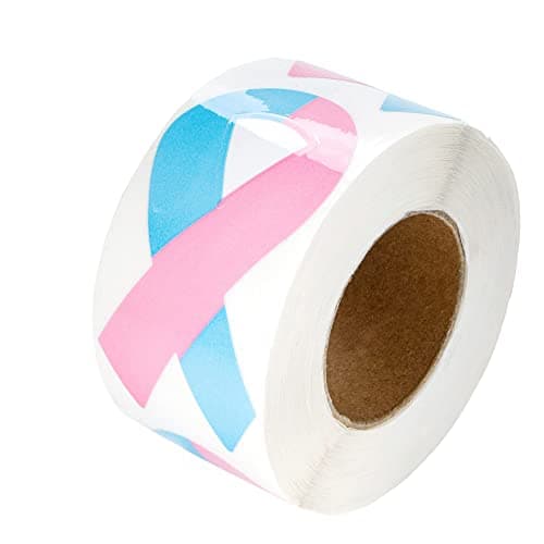 250 Pink Blue Ribbon Stickers for Birth Defects Awareness SIDS Awareness Male Breast Cancer Infant Loss Fundraising Gift Giving