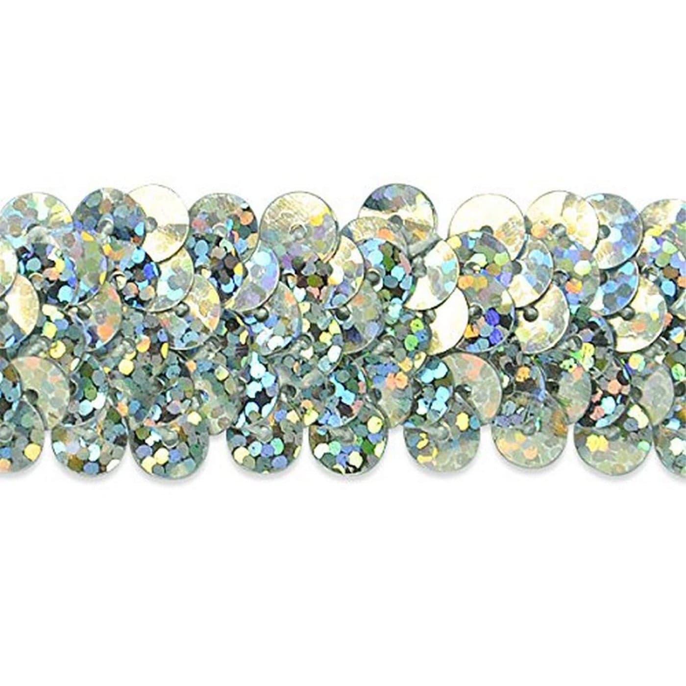 Trims by the Yard 2Row Starlight Hologram Sequin Stretch Trim 78Inch Versatile Sequins for Crafts Durable Sequin Trim for Costumes Fashion and Home Decor 20Yard Cut Silver
