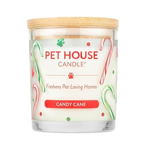 One Fur All Pet House 2 Pack PlantBased Scented Candles Long Lasting Pet Odor Eliminator Mango Peach
