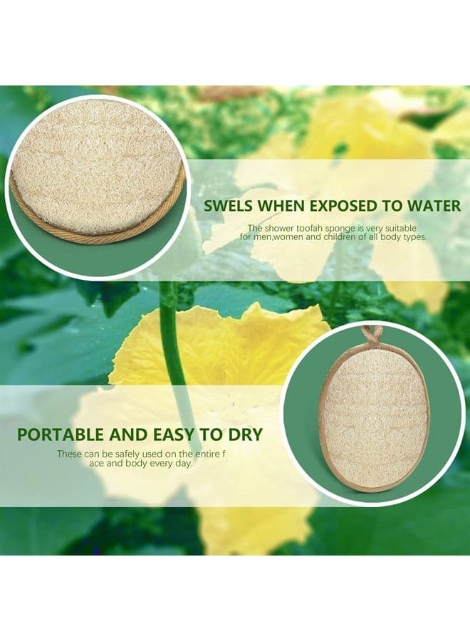 Natural Loofah Sponge Exfoliating Body Scrubber (2 Pack), Made with Eco-Friendly and Biodegradable Shower Luffa, Large Exfoliator Pad for Women and Men