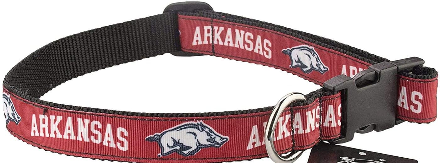 All Star Dogs Collegiate Dog Collar Large Arkansas Razorbacks