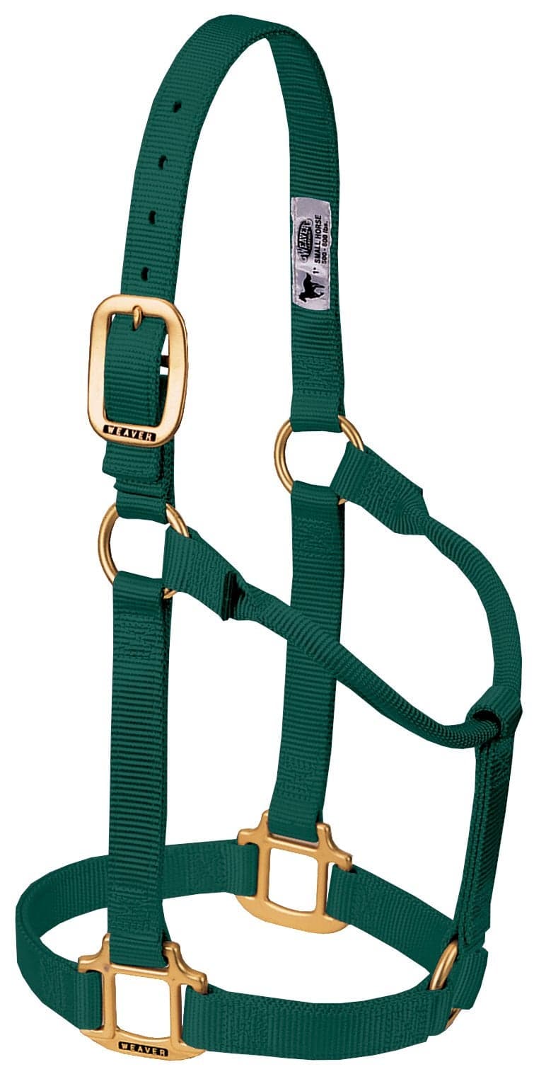 Weaver Leather Original Non-Adjustable Nylon Horse Halter, Large, Hunter Green
