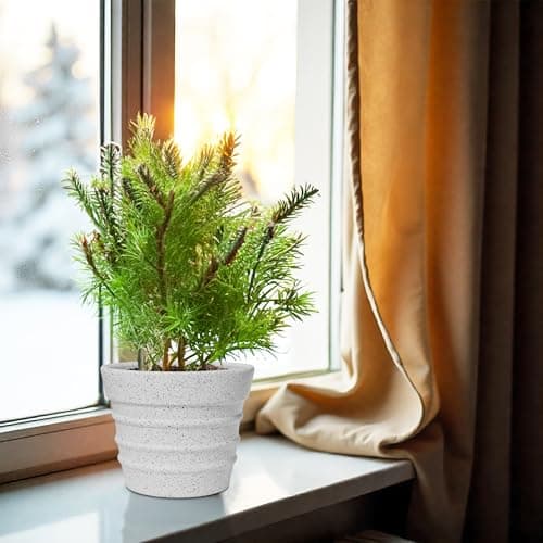 YUCCABE ITALIA Fox B BR 12 Inch White Planter Pot Decorative Flower Pot for Indoor & Outdoor Plants German Polymer Pots for Home & Balcony