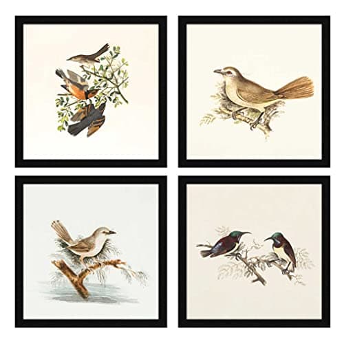 ArtX Paper Birds Wall Art Painting, Framed Paintings For Home Office Decor 20 X 20 inches (Combined), 10.0 X 10.0, Multicolor Posters With Frame, Set of 4