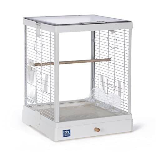 Prevue Pet Products Clear View Glass Bird Cage Crystal Palace for Small Birds - White Frame