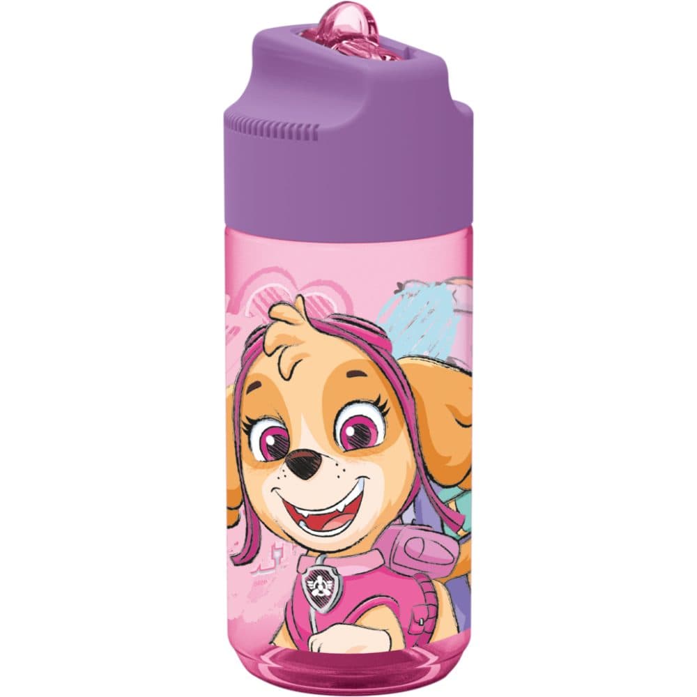 Nickelodeon Paw Patrol Girl Sketch Essence Plastic Ecozen Water Bottle - 430 Ml