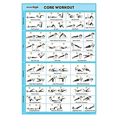 SPORTAXIS No-Equipment Laminated Body Weight Workout Poster with Coloured Illustrations (18"x 27", Motivational, Multicolour)