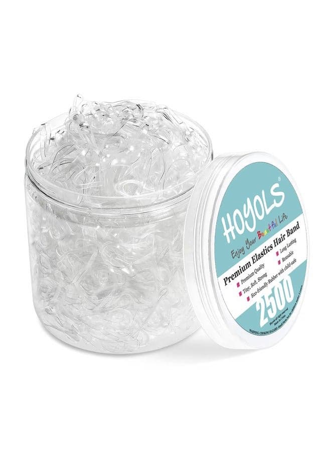Clear Elastic Hair Bands, 2500 Small Rubber Bands Braids for Girls Kids Women Non-Slip Tiny Soft Hair Ties Braiding Hair Accessories Value Pack