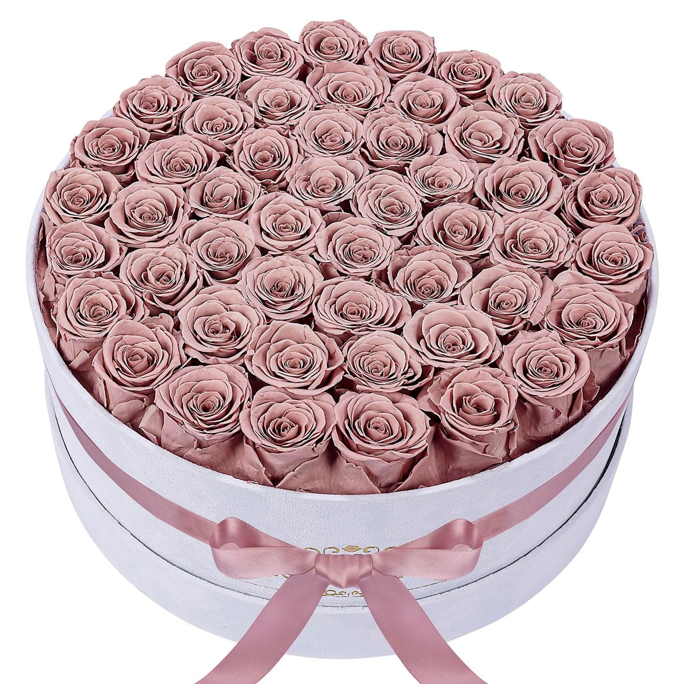 50 Piece Roses in a Velvet Box Flowers for Delivery Presereved Flowers Birthday Gifts for Women Mom and Wife Dusty Rose