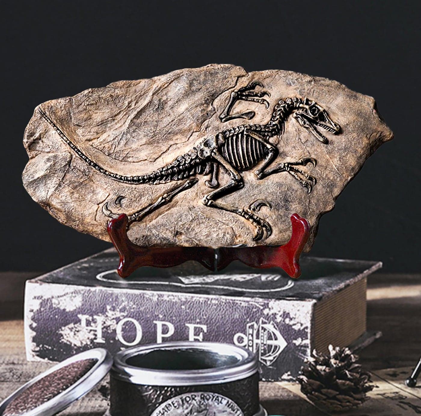 LAGOM HOUSE Dinosaur Fossil Resin Dinosaur Skeleton Model Skull Statue Bones Figurines T rex Tyrannosaurus Skull Replica Fossils Dinosaur Decor for Bookshelf Desktop Shelf Display 13x 7in