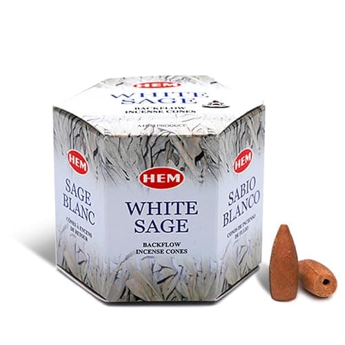 HEM White Sage Backflow Incense Cones – Brown Fragrance Cones for Positivity, Aura Cleansing, Meditation, Relaxation, Stress Relief | Long-Lasting Natural Aroma | Spiritual Gift Set – Pack of 40 Cones