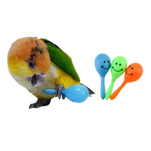 3PCS Colourful Mini Ball Sand Hammer Parrot Rattle Shaker Musical Sound Toy Intelligent Sand Hammer Toys for Parakeets Canaries Cockatiels Conure LovebirdsRandom Color