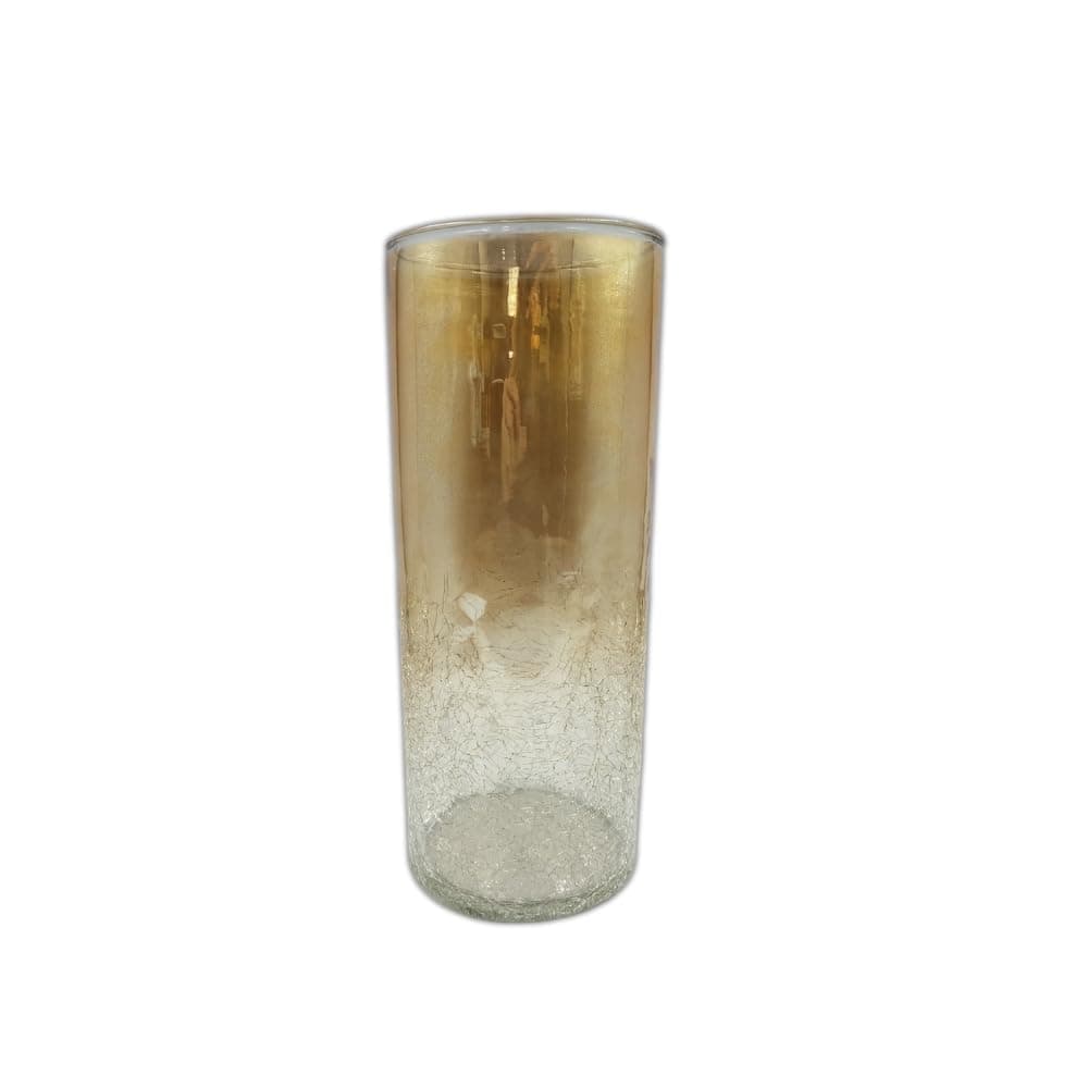 CraftVatika Glass Vase for Flowers Decorative Glass Vases for Home Decor Indoor Plants for Living Room Table Decoration Items