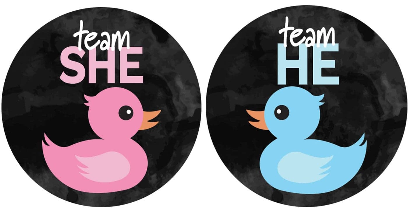 Waddle it Be Rubber Duck Gender Reveal Party Team He or Team She Stickers 40 Count What The Duck are We Having