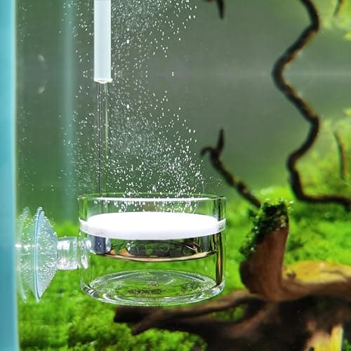 JARDLI Pollen Glass CO2 Diffuser with U-Shape Connecting Tube for Aquarium Planted Tank (2" for 50-80 US gallons)