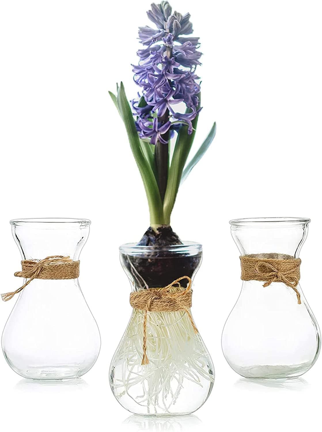Small Glass Vase for Flowers Hewory 3 Pcs Clear Small Vases for Table Decorations Centrepiece Bud Vase Bulk for Hyacinth Bulb Avocado Growing Mini Plant Vase for Wedding Home Living Room Decor