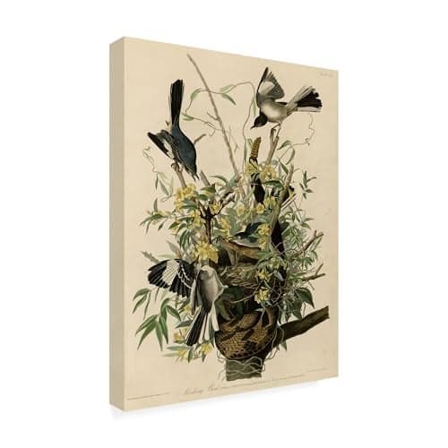 Trademark Fine Art Mocking Birds and Snake II Artwork by John James Audubon, 14 by 19-Inch