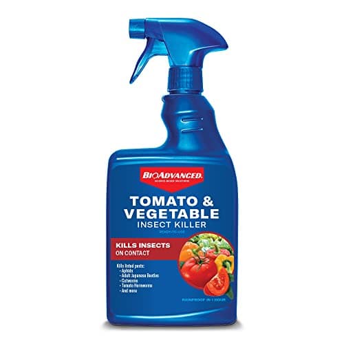 BioAdvanced Tomato & Vegetable Pest Control Plant Bug Killer and Insect Killer, 24-Ounce, Ready-to-Use