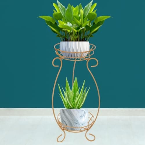 Bee Creative Plant Stand for Balcony Flower Pot Stand (2_POT_G)