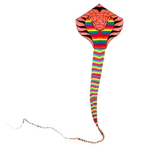Besra Large Cobra Snake Kite 52ft Colorful Rattlesnake Kite with 15m Long Tails Outdoor Fun Sports with Flying Tools Rainbow