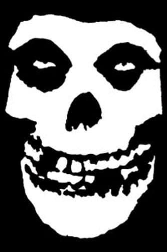 C&D Visionary Licenses Products The Misfits Skull Magnet