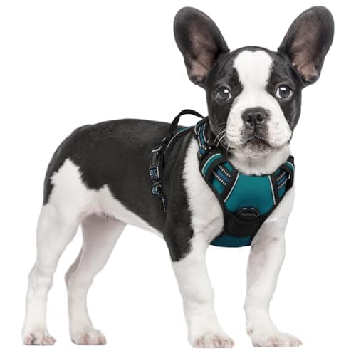 rabbitgoo Dog Harness No Pull with 2 Leash Clips, Adjustable Soft Padded, Reflective Oxford No Choke Pet Vest with Easy Control Handle for Small Dogs, Blue Coral, S